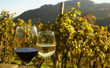 История грузинского виноделия — колыбель вина